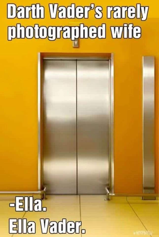20 Memes That Will Make You Snort with Laughter 4 Darth Vaders wife