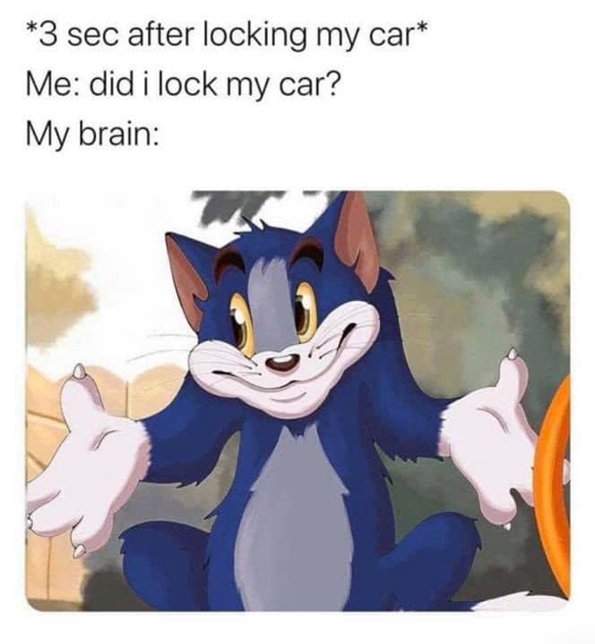 Did I lock my car meme