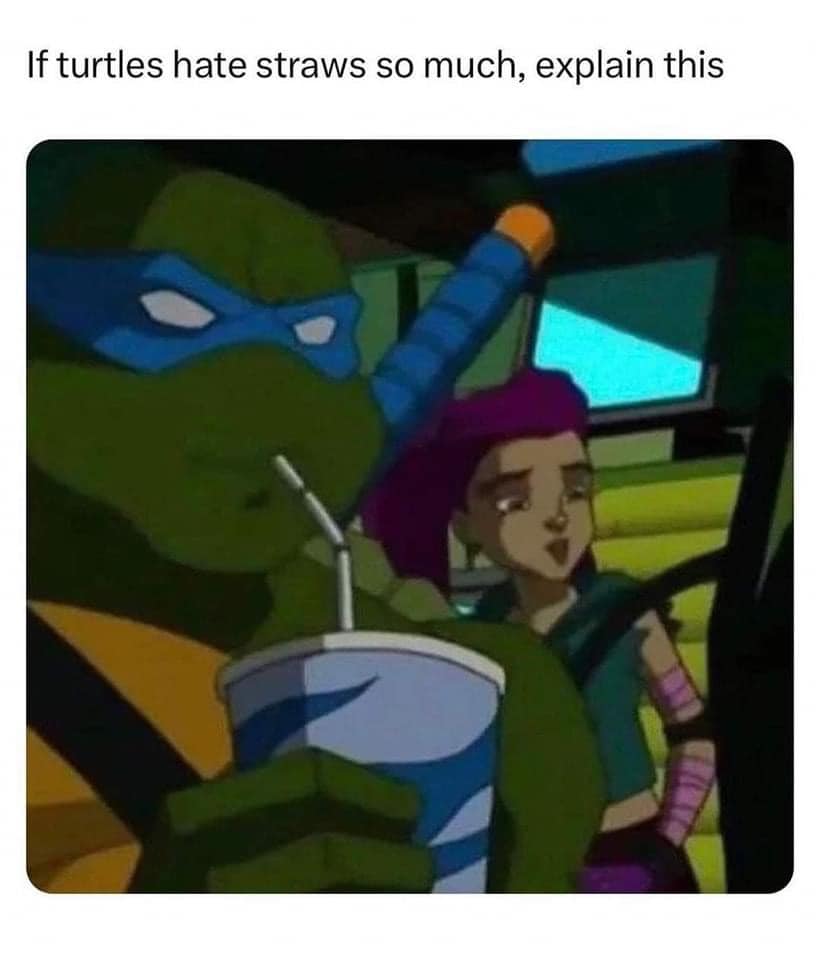 Turtles hates straw meme