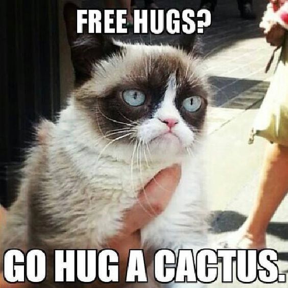25 Grumpy Cat Memes That Will Make You Relate To Your Own Grumpiness 3 Free hugs - grumpy cat memes