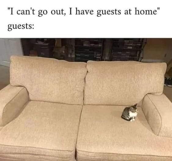 Guests At Home - Animals