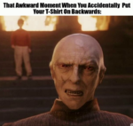 Voldemort memes