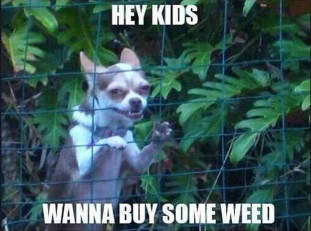 Hey kids