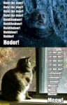 hodoe memes