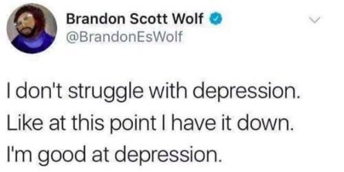 25 Laughter-Inducing Memes You Didn't See Coming 8 I dont struggle with depression - laughter-inducing memes