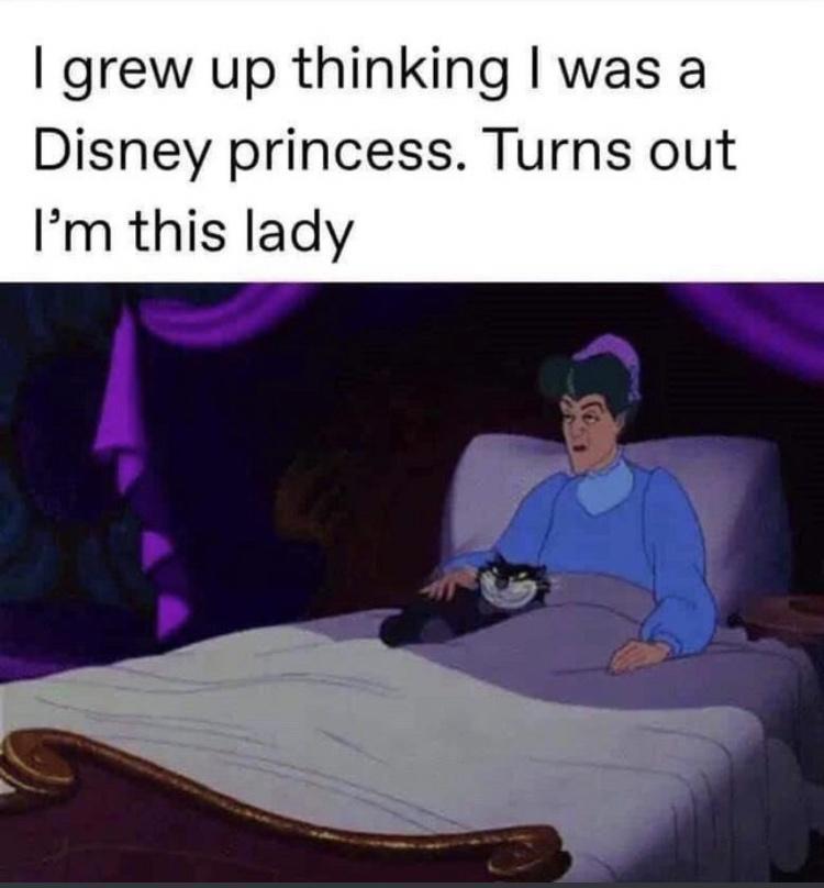 25 Laughter-Inducing Memes You Didn't See Coming 9 I gerw up thinking I was disney princess