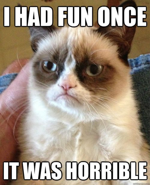 25 Grumpy Cat Memes That Will Make You Relate To Your Own Grumpiness 5 I had fun once - grumpy cat memes