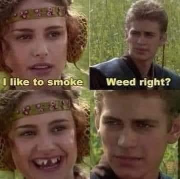 30 Backlogged Memes That Deserve Your Attention 10 I like to smoke