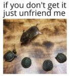 If You Dont Know Just Unfriend Me 19 Unfriend me meme