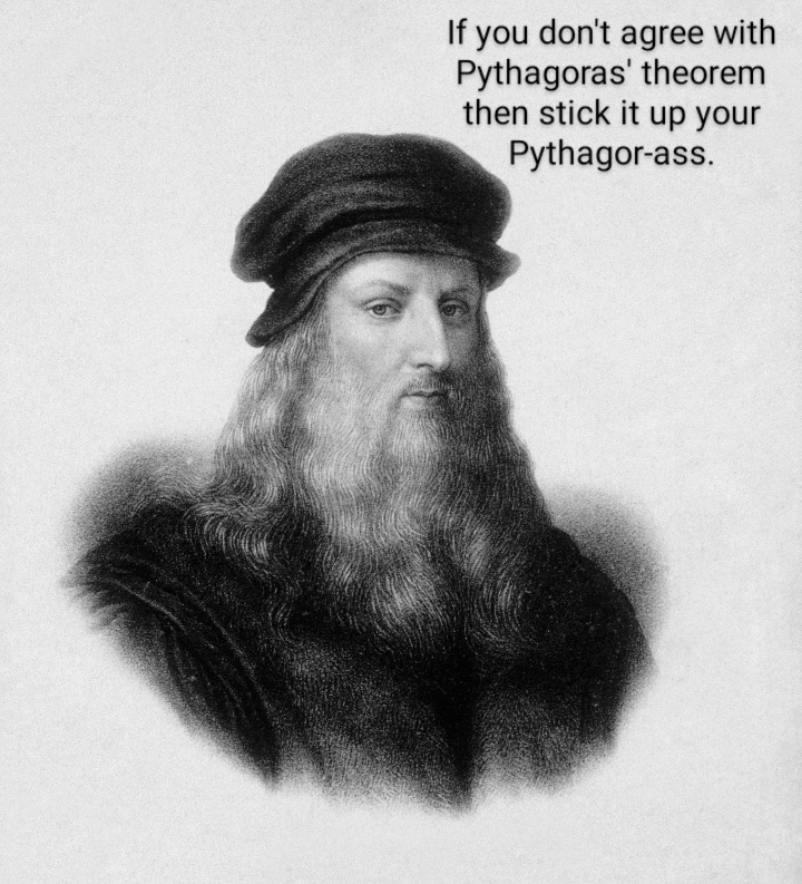 15 Pythagoras Theorem Memes That Will Make You Laugh All The Way To The Hypotenuse 5 If you dont agree with pythogoras - Pythagoras Theorem memes