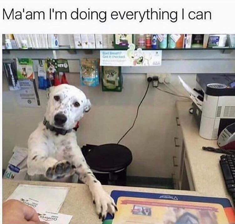 Im doing everything