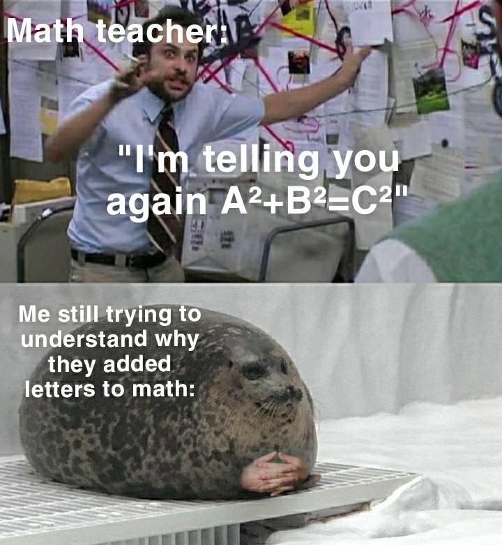 15 Pythagoras Theorem Memes That Will Make You Laugh All The Way To The Hypotenuse 6 Im telling you again
