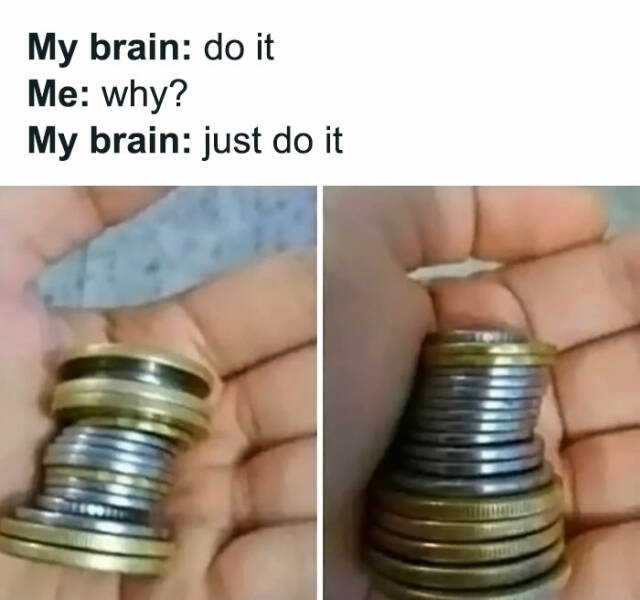 20 Memes That Will Make You Snort with Laughter 7 Just do it