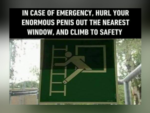 Laughter Inducing Memes - FG