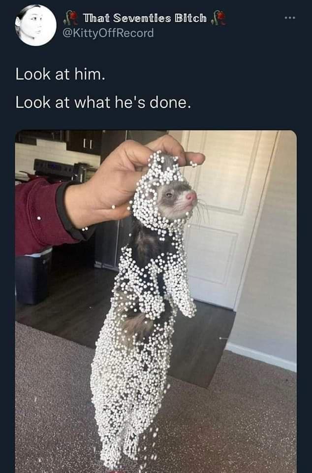 30 Backlogged Memes That Deserve Your Attention 11 Look at him - backlogged memes