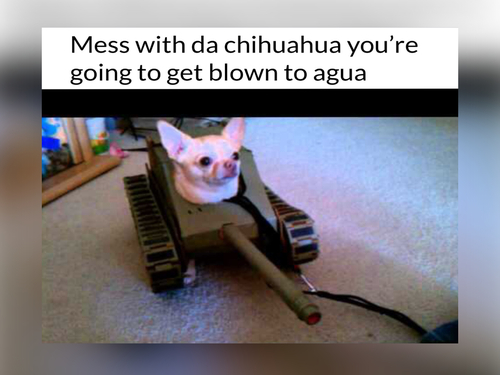 Mess with Chihuahua - Chihuahua memes - FG