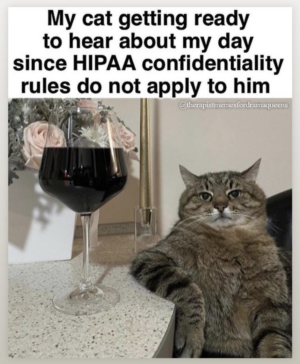 25 Laughter-Inducing Memes You Didn't See Coming 14 My cat getting ready to hear - laughter-inducing memes