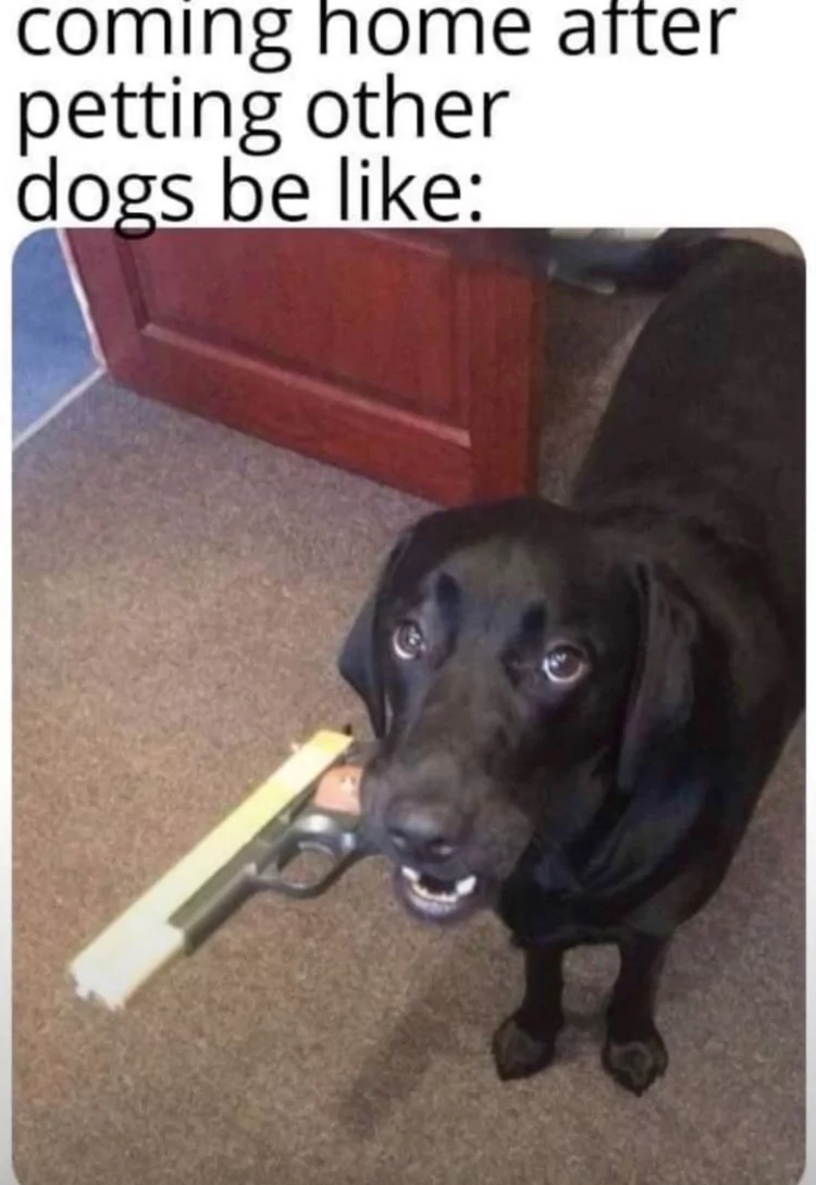 Petting other dogs memes