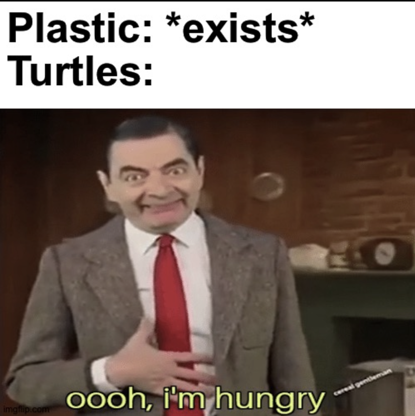 25 Mr Bean Memes That Will Never Fail To Make You Laugh 15 Plastic exists - Mr Bean Memes