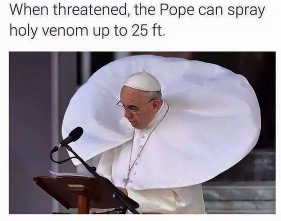 30 Pope Memes That Will Make You Say 'Amen'! 13 Pope can spray holy venom