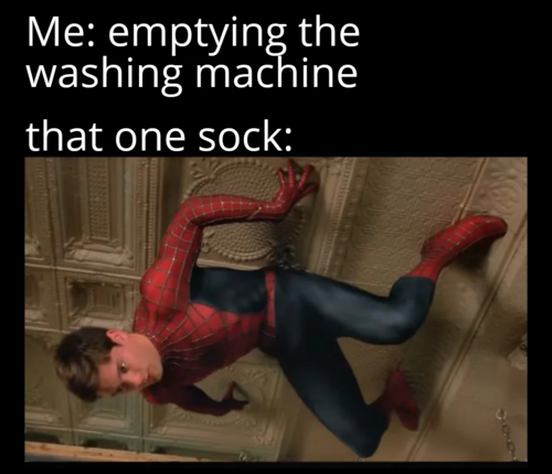 Spider Sock! 1 socks meme