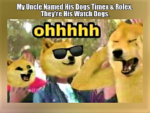 Stupid Jokes - FG