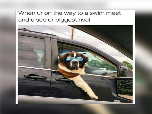 Swim Meet - Monday memes -FG