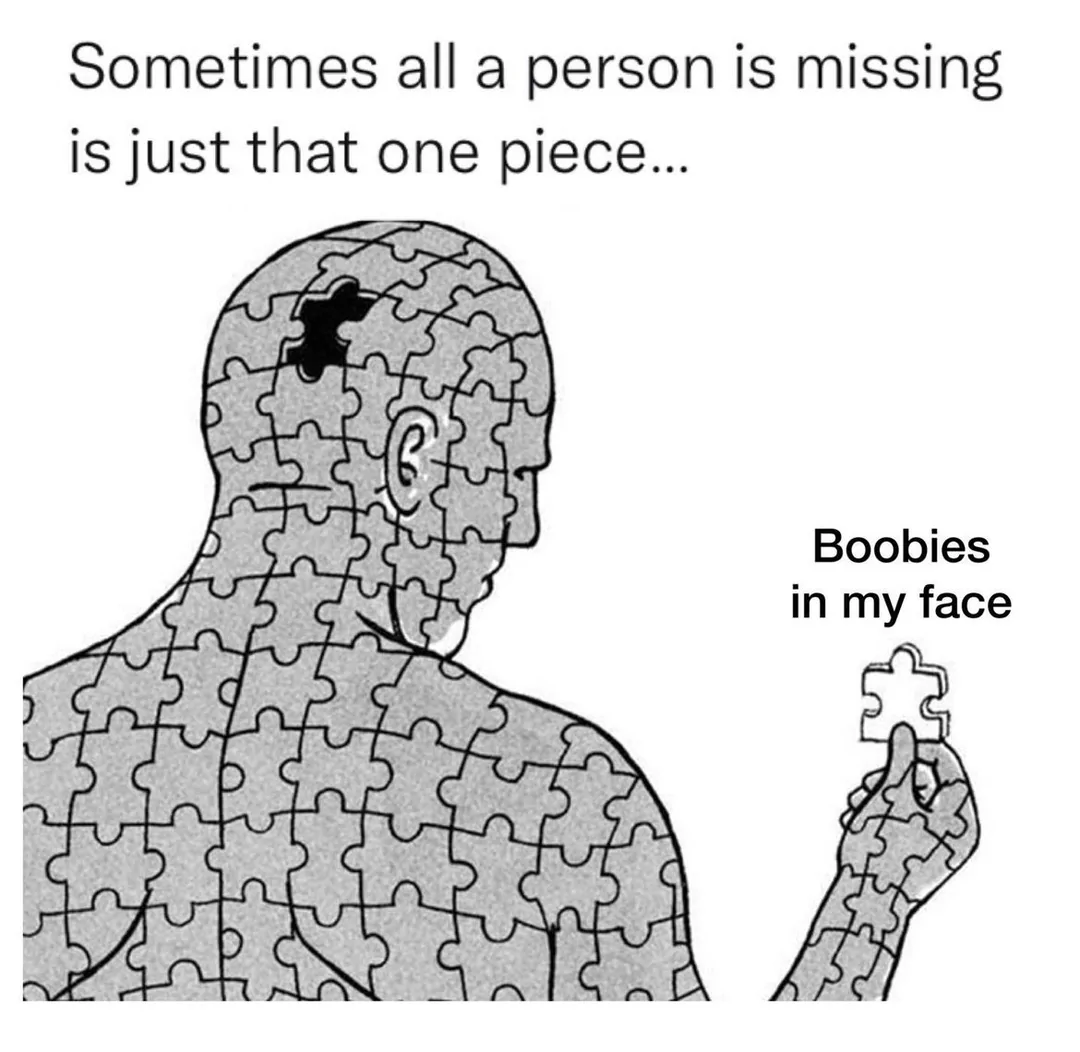 That One Piece Completes The Puzzle. 1 puzzle meme