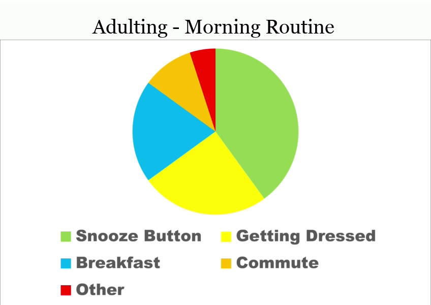 25 Funny Pie Charts About Adulting That Are Absolutely True 10 The Pie Chart Of Morning Routine - Funny Pie Charts