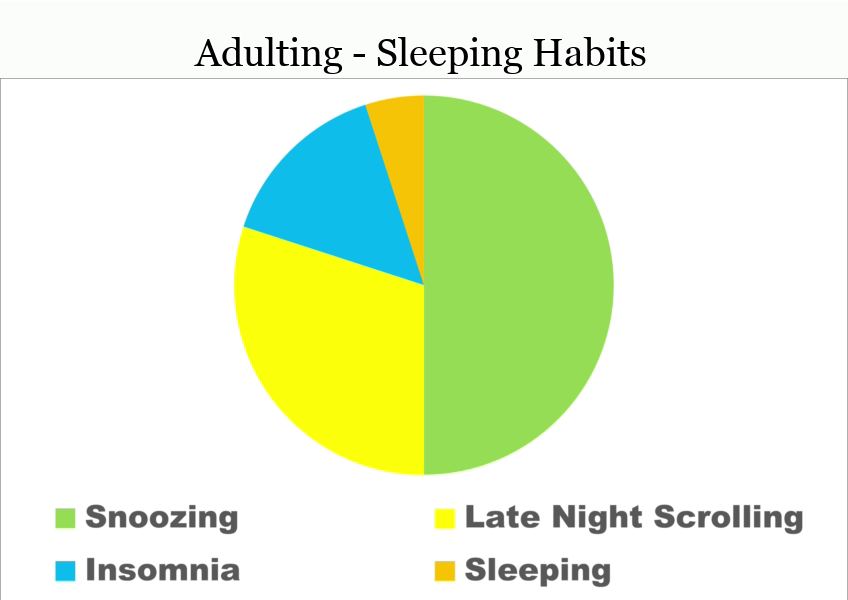25 Funny Pie Charts About Adulting That Are Absolutely True 23 The Pie Chart Of Sleeping Habits