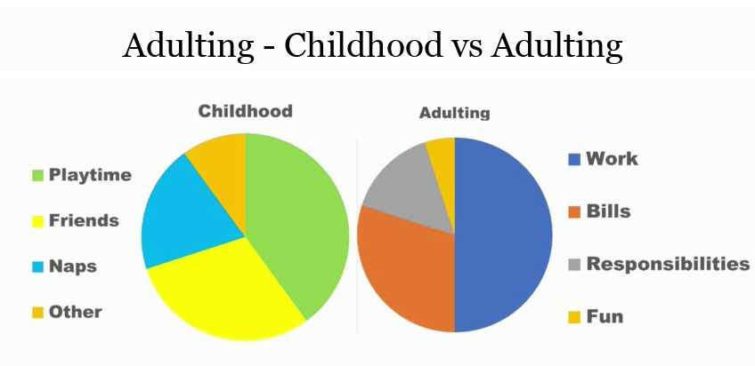 25 Funny Pie Charts About Adulting That Are Absolutely True 5 The Pie Chart of Childhood vs Adulting