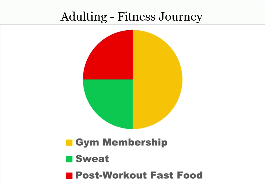 25 Funny Pie Charts About Adulting That Are Absolutely True 15 The Pie Chart of My Fitness Journey - Funny Pie Charts