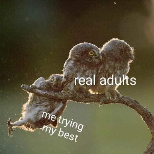 struggle is real meme