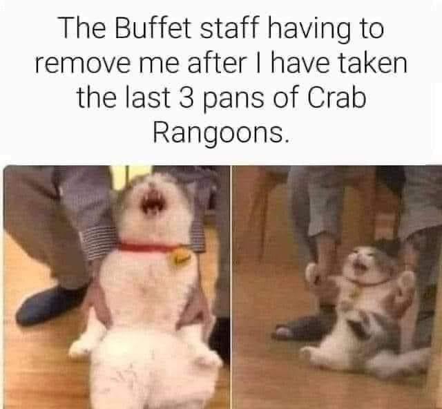 25 Laughter-Inducing Memes You Didn't See Coming 18 The buffet staff - laughter-inducing memes