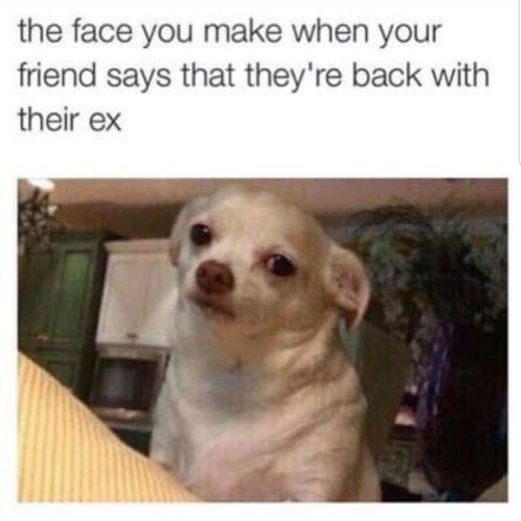 The face you make when your friend says they are back with their ex