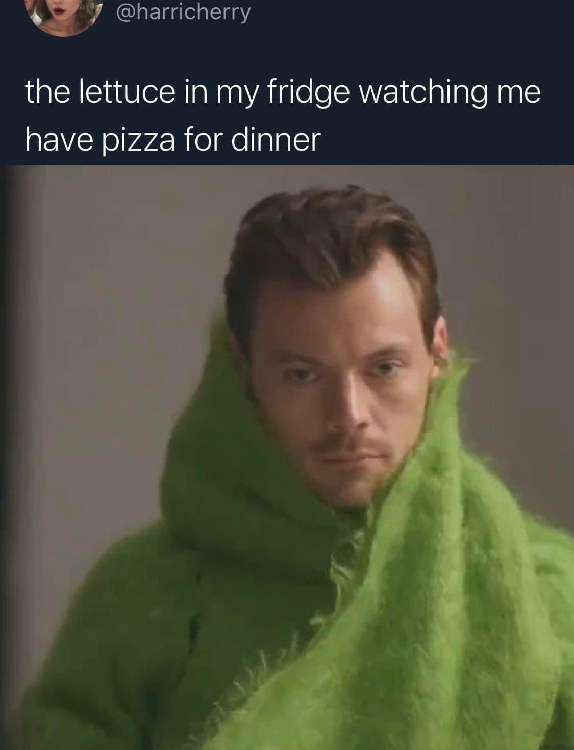 30 Backlogged Memes That Deserve Your Attention 15 The lettuce in my fridge - backlogged memes
