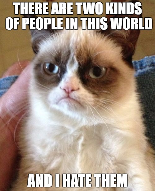 25 Grumpy Cat Memes That Will Make You Relate To Your Own Grumpiness 11 There are two kinds of people in this world - grumpy cat memes