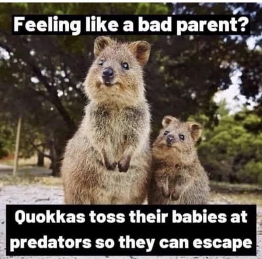This Make A Lot Of parents Feel Better 1 bad parent meme