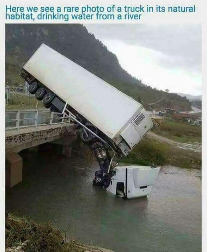 25 Laughter-Inducing Memes You Didn't See Coming 19 Truck drinking water