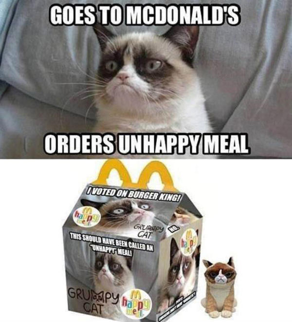 25 Grumpy Cat Memes That Will Make You Relate To Your Own Grumpiness 13 Unhappy meal - grumpy cat memes
