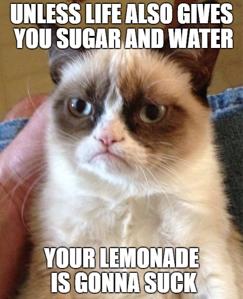 25 Grumpy Cat Memes That Will Make You Relate To Your Own Grumpiness 14 Unless life also gives you sugar