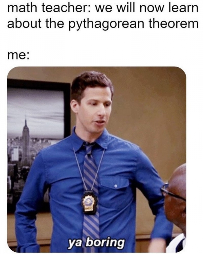 15 Pythagoras Theorem Memes That Will Make You Laugh All The Way To The Hypotenuse 9 We will now learn about pythogorean theorm - Pythagoras Theorem memes
