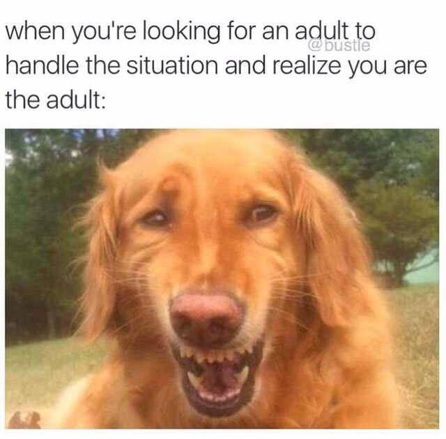 When youre looking for an adult to handle the situation