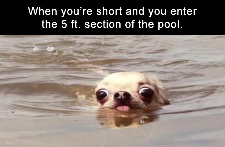 When youre short