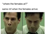 Where The Females At meme