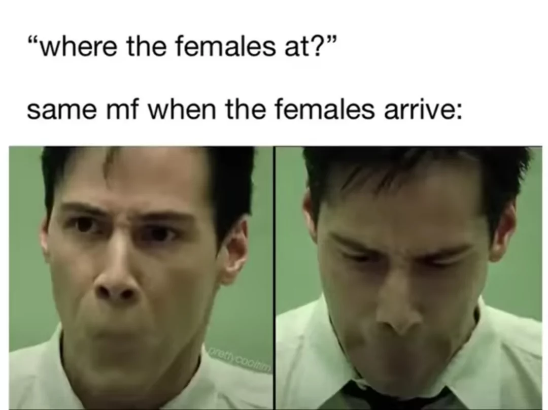 Where The Females At? 1 Where The Females At meme