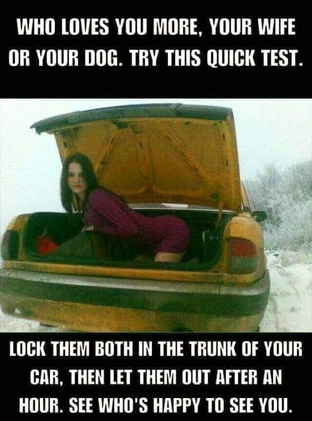 Who Loves You More 1 Dog memes