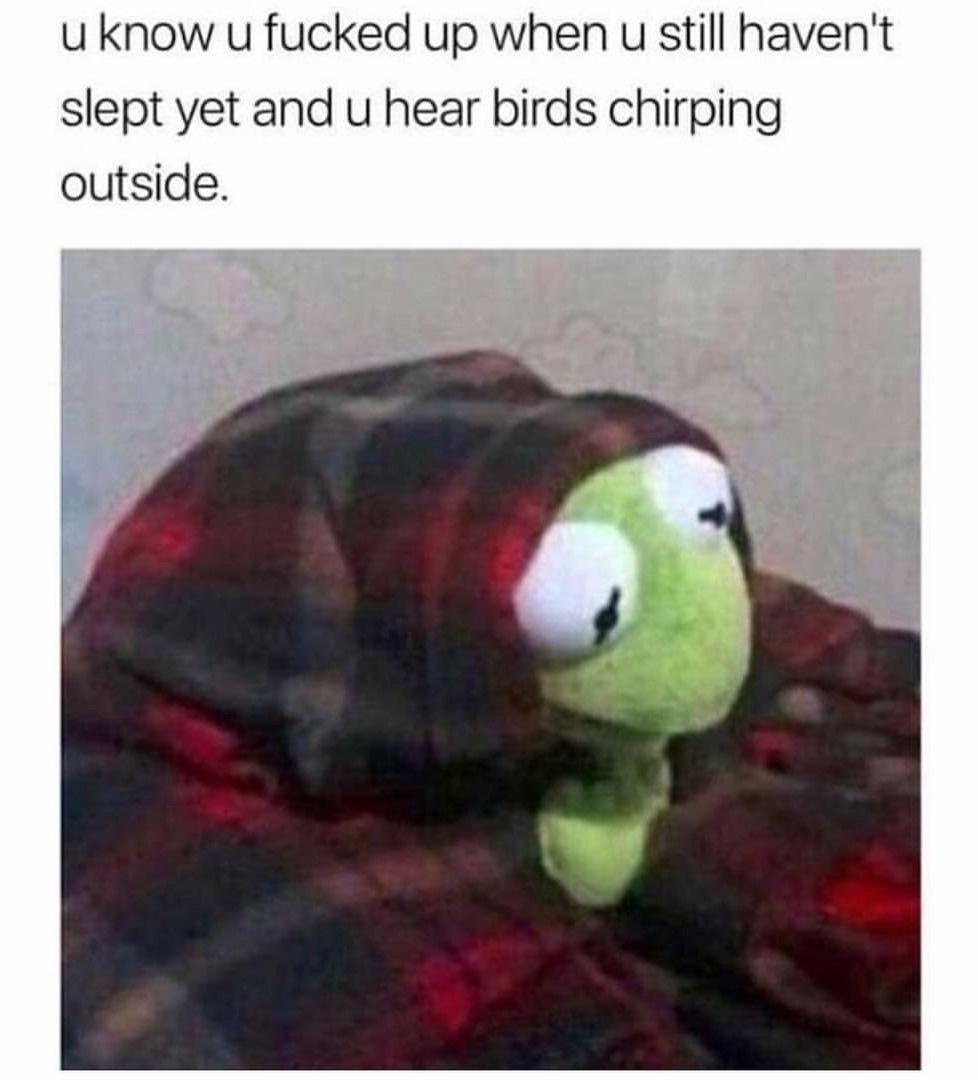 You hear birds chirping
