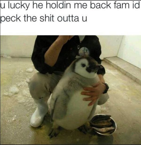 25 Monday Memes To Make Your Morning Coffee Even Better! 20 You lucky he holding me back