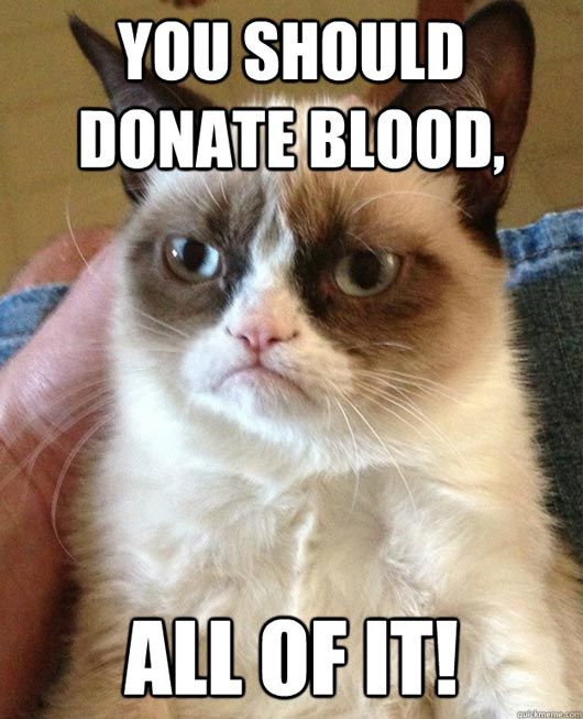 25 Grumpy Cat Memes That Will Make You Relate To Your Own Grumpiness 18 You should donate blood - grumpy cat memes